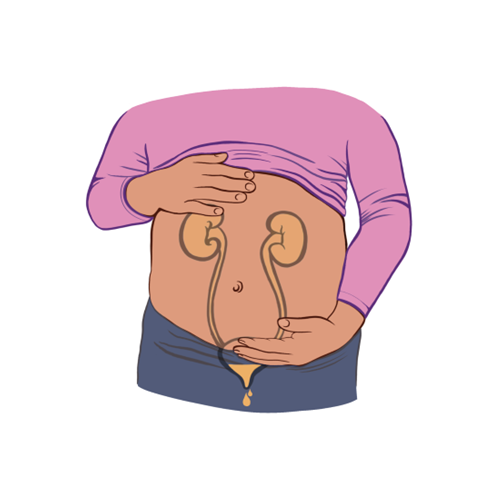 Bladder Capacity illustration